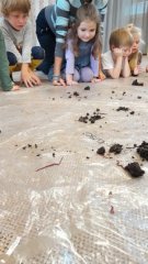 „Ze života žížal“